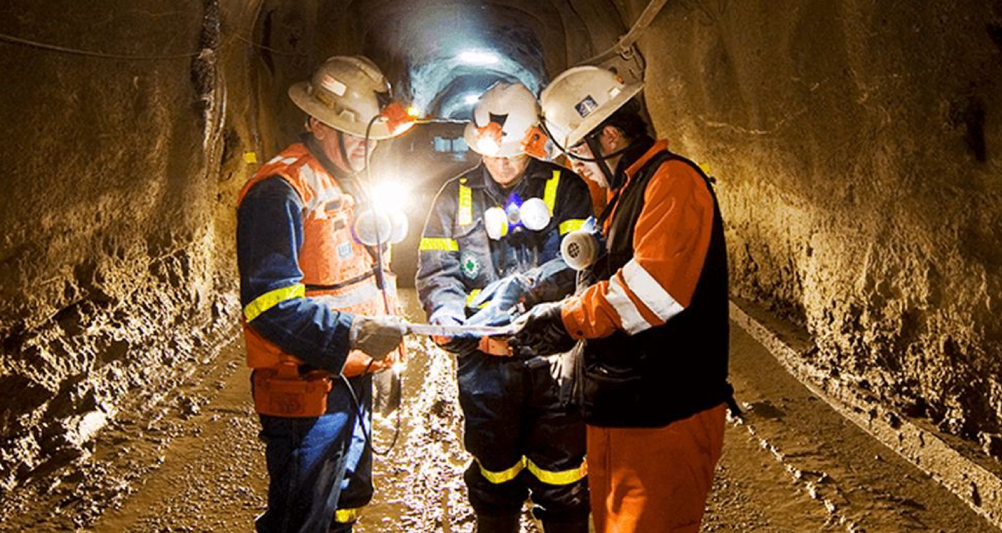 Servicios de inscripción y publicidad de actos, contratos, derechos y titularidades, vinculados a las concesiones mineras